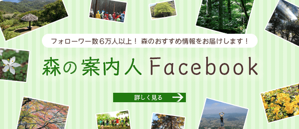 森の案内人 Facebook