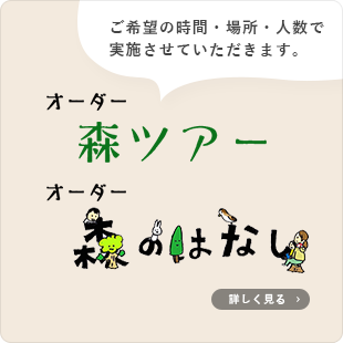 オーダー森ツアー、オーダー森のはなし