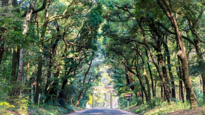 JR東日本さんと東京・山手線の駅を起点に、森ツアーをさせてもらいます。