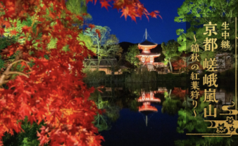 嵯峨 嵐山の紅葉　〜 錦秋の紅葉狩り 〜 （ NHK BS プレミアム ）で、庭園とモミジの話をさせてもらいました