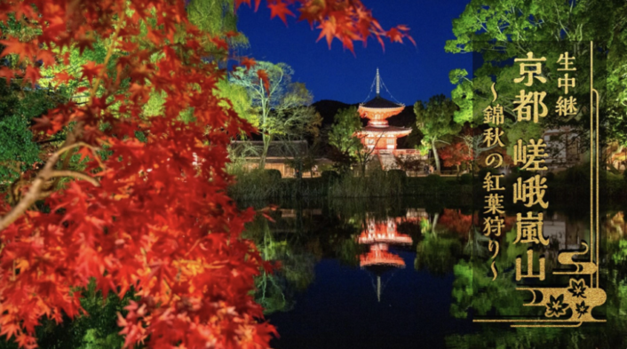 嵯峨 嵐山の紅葉　〜 錦秋の紅葉狩り 〜 （ NHK BS プレミアム ）で、庭園とモミジの話をさせてもらいました