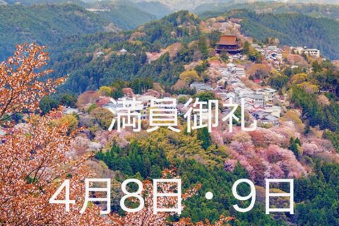 森ツアー