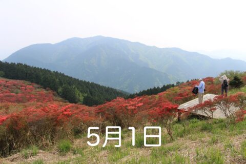 森のサロン