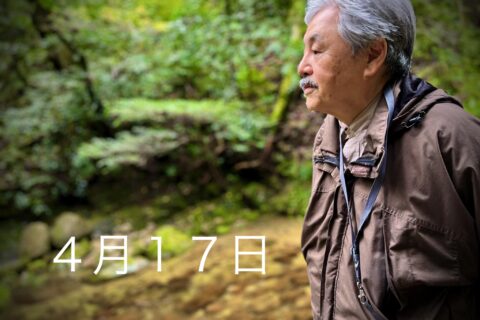 森のサロン