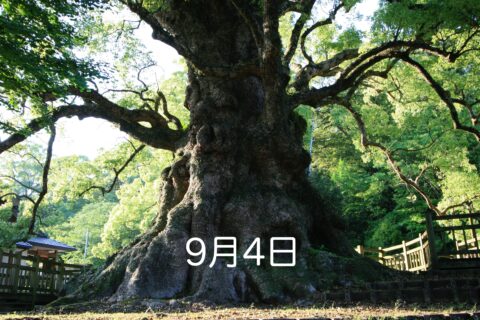 森のサロン
