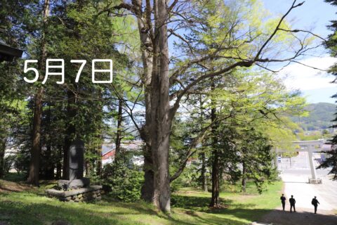 森のサロン