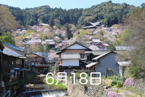 森のサロン