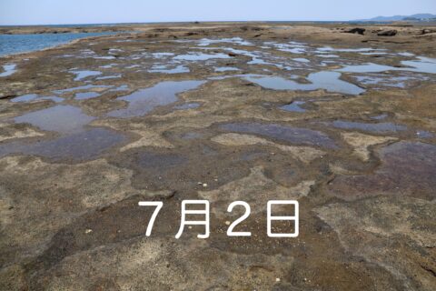 森のサロン
