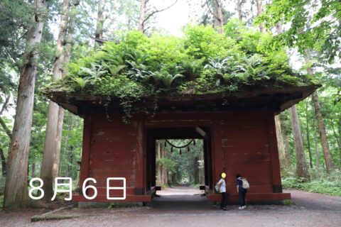 森のサロン